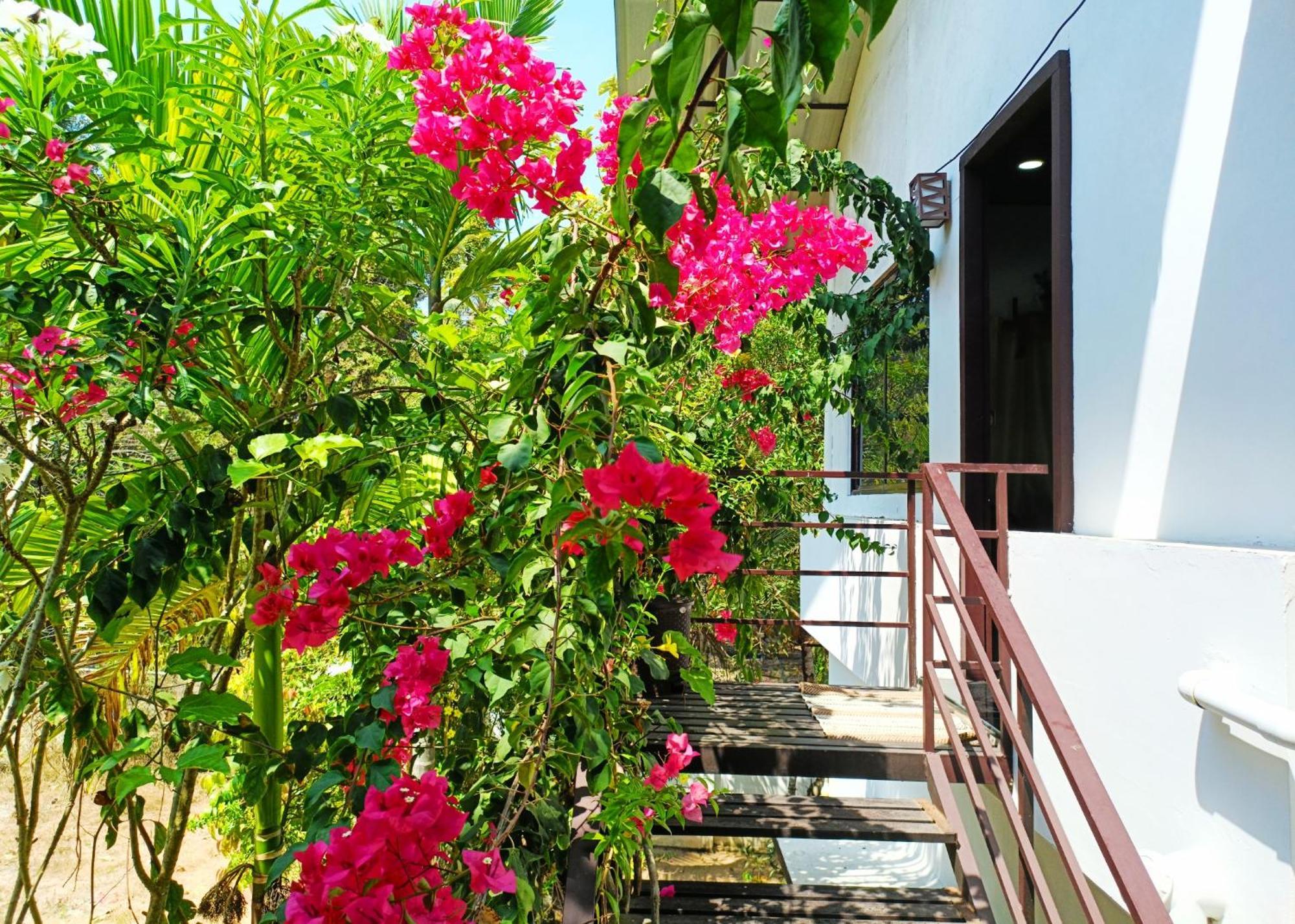 Alma Homestay Mararikulam Extérieur photo